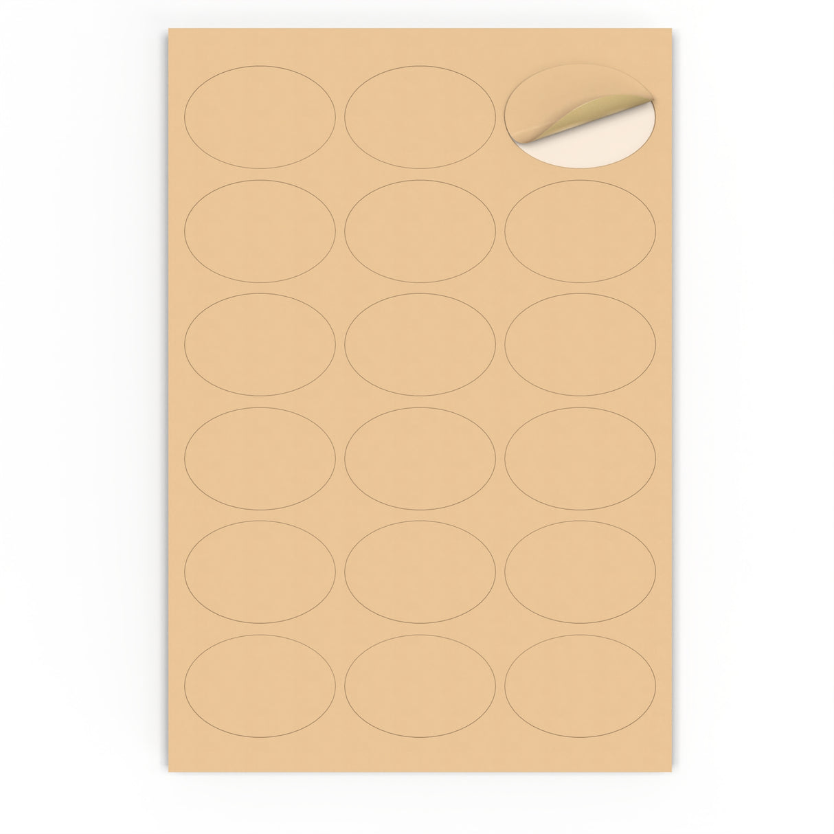 Etiquetas adhesivas ovaladas