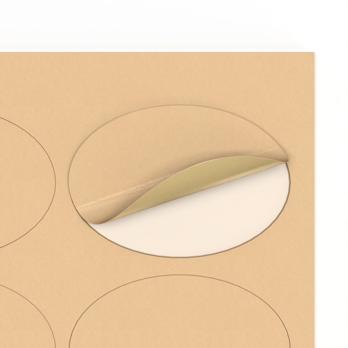 Etiquetas adhesivas ovaladas