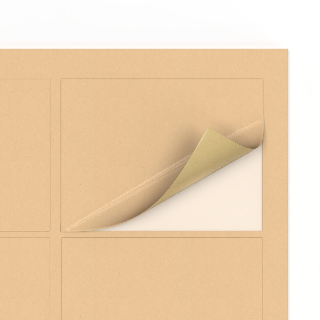 Etiquetas adhesivas rectangulares