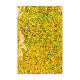 Bolsas de aluminio metalizadas holográficas